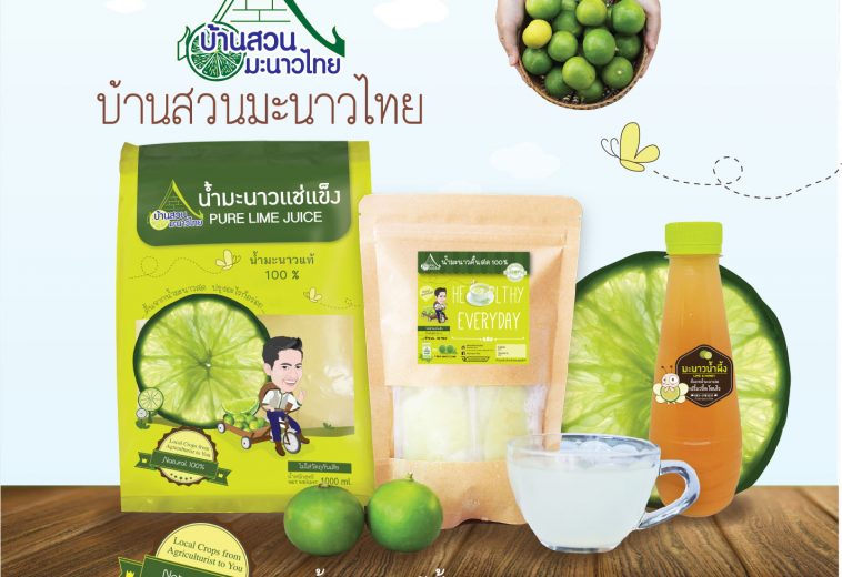 Graphic and Content Creating